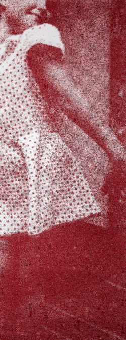 Jayne_in_red_2013_photographgic_silkscreen_glass_canvas_56x20"_$5000.unique.jpg