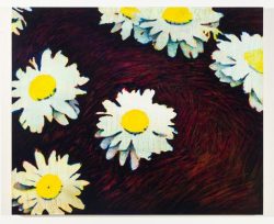 McBride_sevendaisies.jpg